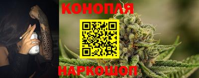 сатива Краснодар