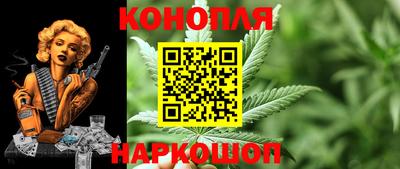 сатива Краснодар