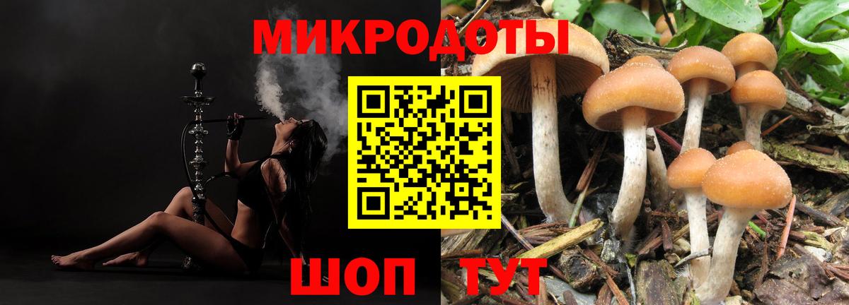 Касимов  Псилоцибиновые грибы ЛСД  Вход с VPN 